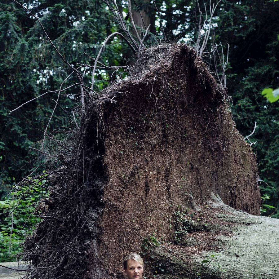 Lars van den Brink