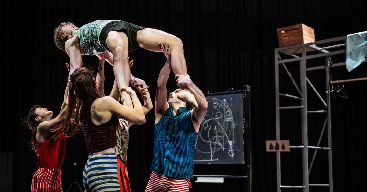 Binnenbeest  | 6+ — De Dansers