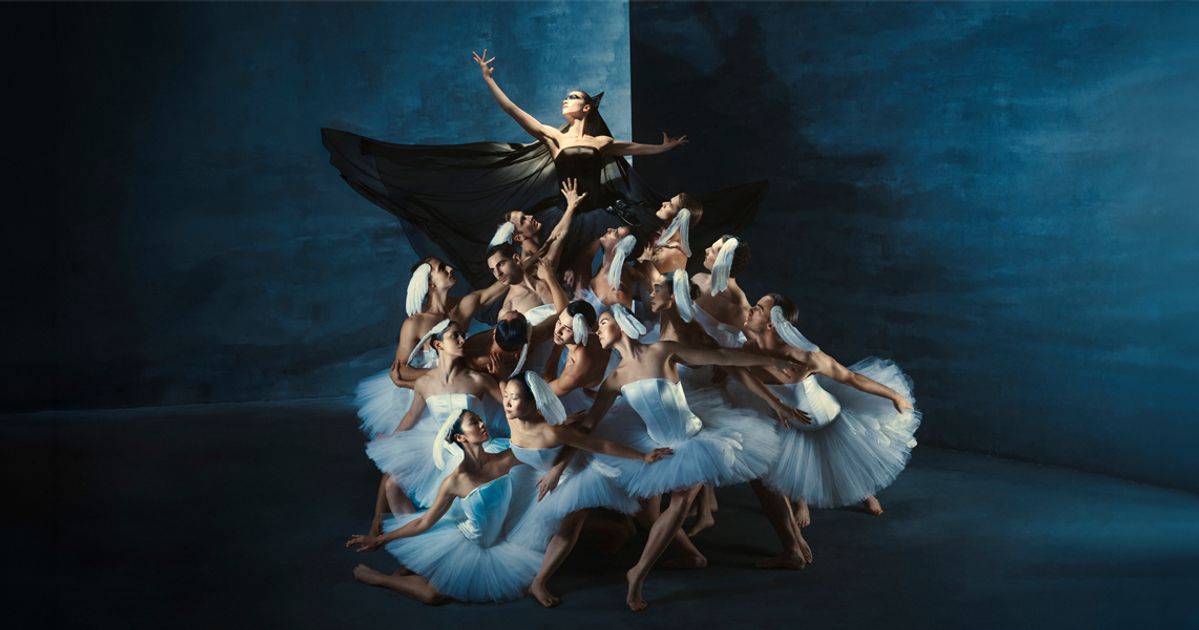 Swan Lake (6+) — Introdans