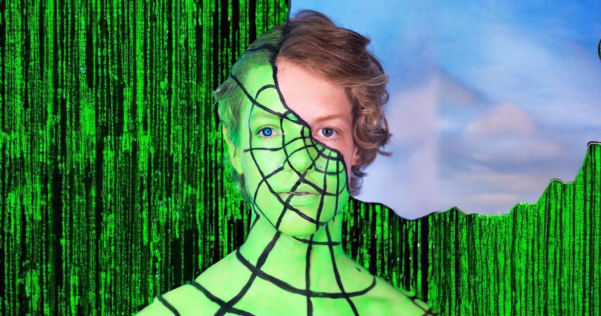 In Real Life (IRL) (12+) — De Toneelmakerij